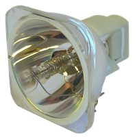 AVIO IP-01B Lampa bez modulu