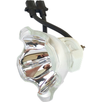 INFOCUS C445 Lampa bez modulu