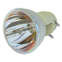 OPTOMA BL-FP195B (SP.79C01GC01) Lampa bez modulu