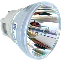 OPTOMA BL-FU200D (SP.7D101GC01) Lampa bez modulu