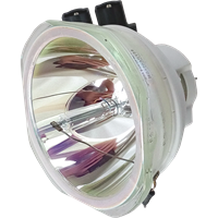 PANASONIC PT-DW830ELWJ (portrait) Lampa bez modulu