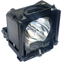 SAMSUNG PT-61DL34 Lampa s modulom