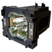 SANYO POA-LMP108 (610 334 2788) Lampa s modulom